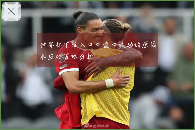 世界杯下注入口中盘口波动的原因和应对策略分析