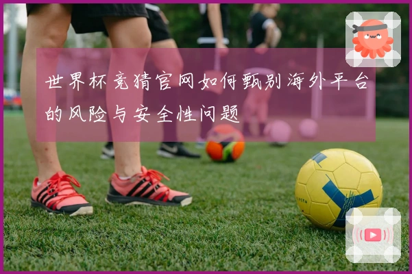 世界杯竞猜官网如何甄别海外平台的风险与安全性问题