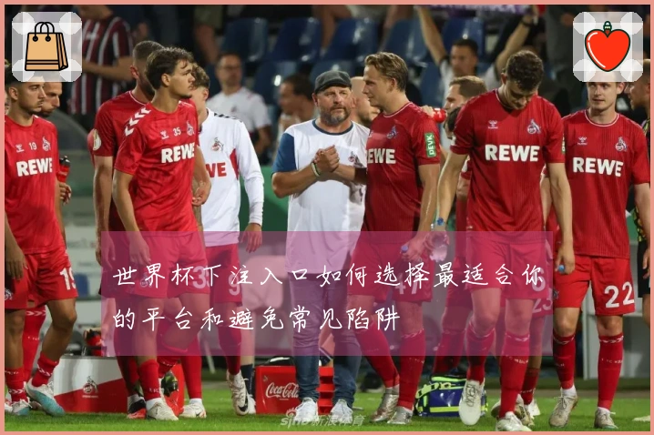 世界杯下注入口如何选择最适合你的平台和避免常见陷阱