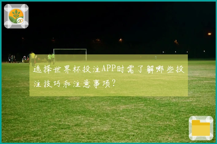 选择世界杯投注APP时需了解哪些投注技巧和注意事项？