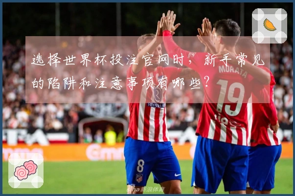 选择世界杯投注官网时,新手常见的陷阱和注意事项有哪些?