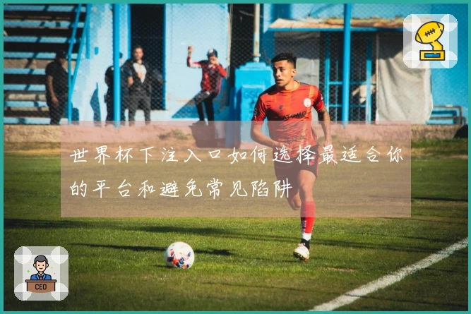 世界杯下注入口如何选择最适合你的平台和避免常见陷阱