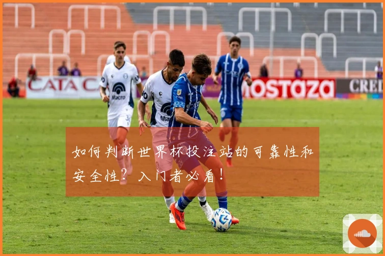 如何判断世界杯投注站的可靠性和安全性？入门者必看！