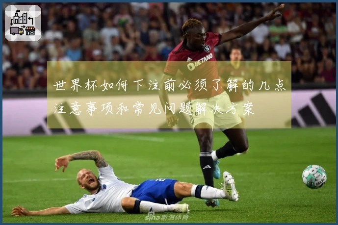 世界杯如何下注前必须了解的几点注意事项和常见问题解决方案