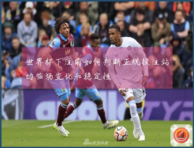 世界杯下注前如何判断正规投注站的临场变化和稳定性