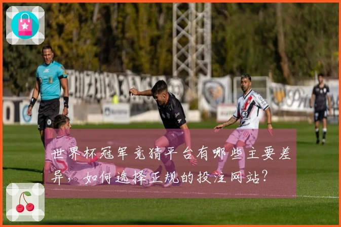 世界杯冠军竞猜平台有哪些主要差异，如何选择正规的投注网站？
