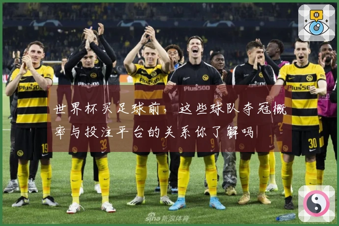 世界杯买足球前，这些球队夺冠概率与投注平台的关系你了解吗