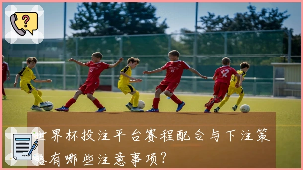 世界杯投注平台赛程配合与下注策略有哪些注意事项？