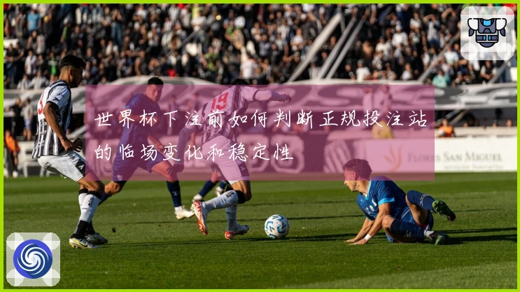 世界杯下注前如何判断正规投注站的临场变化和稳定性
