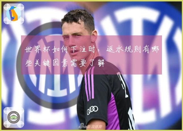 世界杯如何下注时，返水规则有哪些关键因素需要了解
