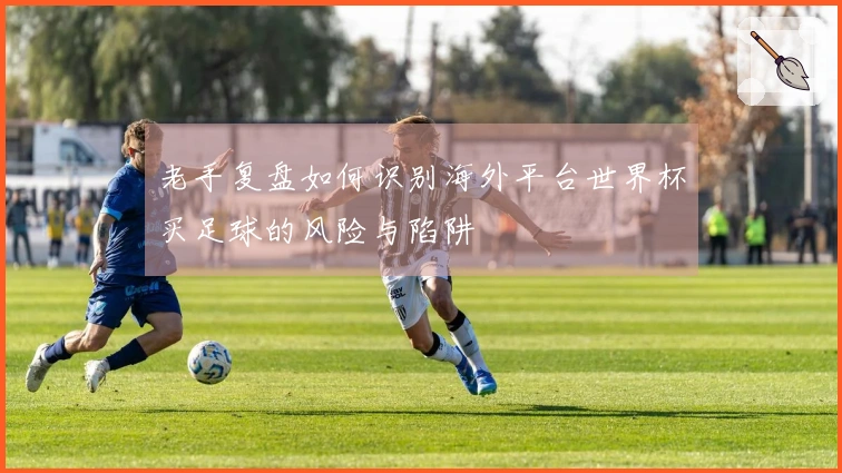 老手复盘如何识别海外平台世界杯买足球的风险与陷阱