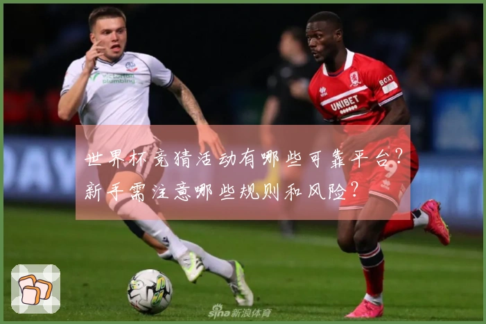 世界杯竞猜活动有哪些可靠平台？新手需注意哪些规则和风险？