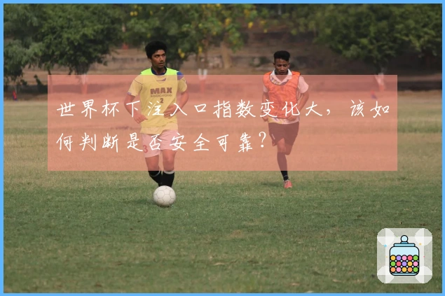 世界杯下注入口指数变化大，该如何判断是否安全可靠？