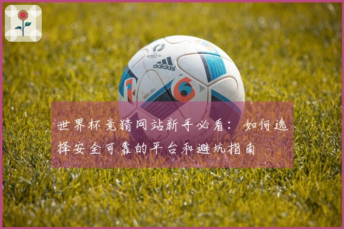 世界杯竞猜网站新手必看：如何选择安全可靠的平台和避坑指南