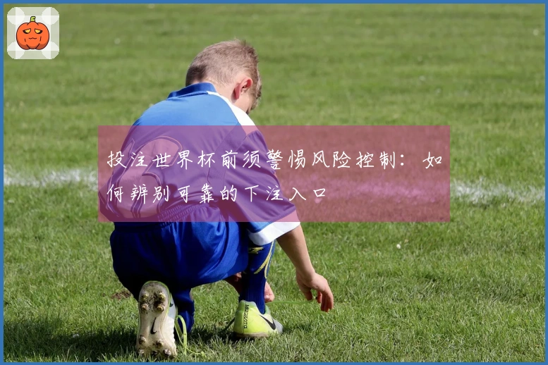 投注世界杯前须警惕风险控制：如何辨别可靠的下注入口