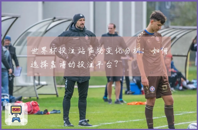 世界杯投注站临场变化分析：如何选择靠谱的投注平台？