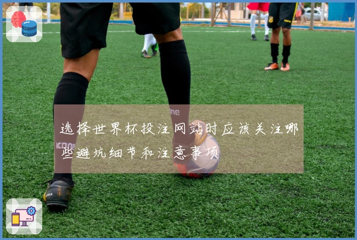 选择世界杯投注网站时应该关注哪些避坑细节和注意事项
