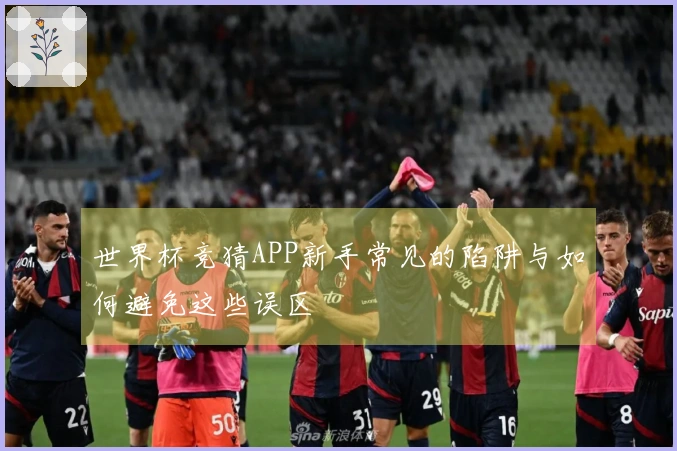 世界杯竞猜APP新手常见的陷阱与如何避免这些误区