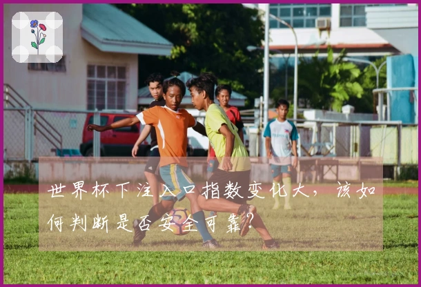 世界杯下注入口指数变化大,该如何判断是否安全可靠?