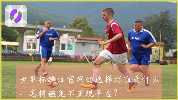 世界杯投注官网的选择标准是什么，怎样避免不正规平台？