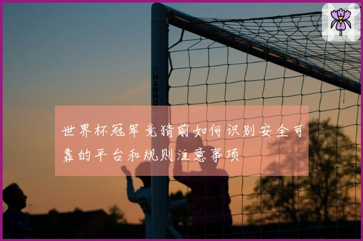 世界杯冠军竞猜前如何识别安全可靠的平台和规则注意事项