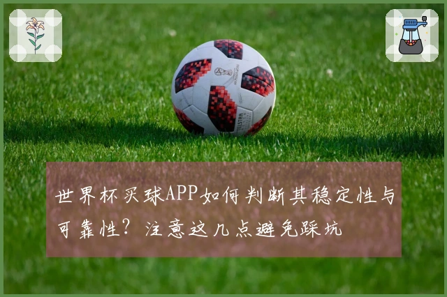世界杯买球APP如何判断其稳定性与可靠性?注意这几点避免踩坑