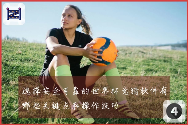 选择安全可靠的世界杯竞猜软件有哪些关键点和操作技巧