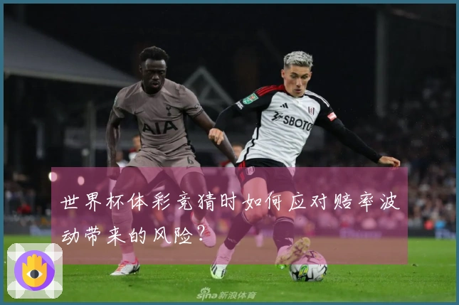 世界杯体彩竞猜时如何应对赔率波动带来的风险？