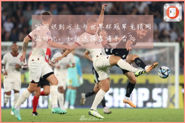 官网识别方法与世界杯冠军竞猜网站对比，如何选择靠谱平台？