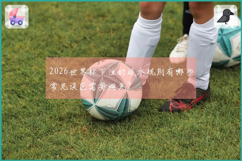 2026世界杯下注的返水规则有哪些常见误区需要避免？