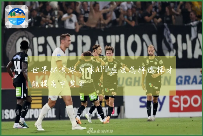 世界杯滚球买球APP应该怎样选择才能提高中奖率