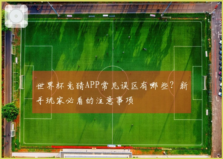 世界杯竞猜APP常见误区有哪些？新手玩家必看的注意事项