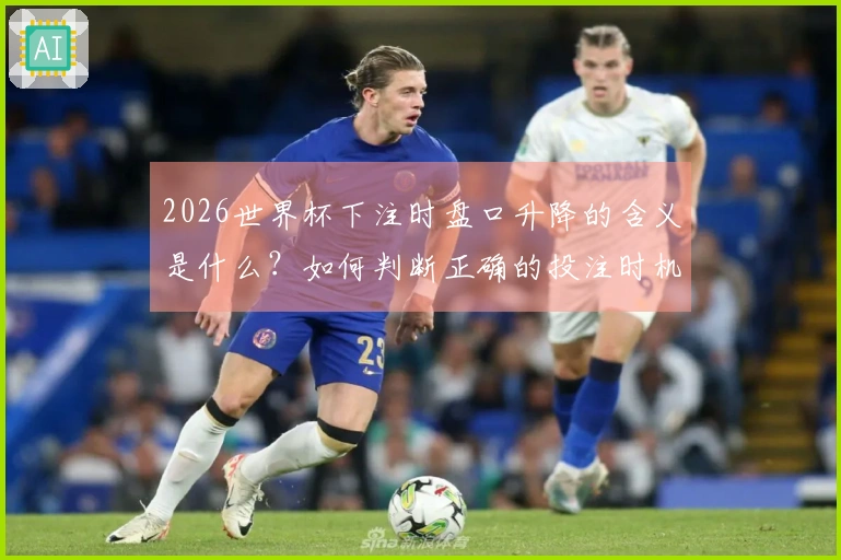 2026世界杯下注时盘口升降的含义是什么?如何判断正确的投注时机?