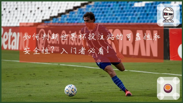 如何判断世界杯投注站的可靠性和安全性?入门者必看!